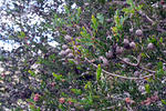 DSC 0580
