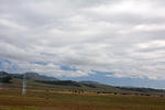 DSC 0585