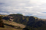 DSC 0624