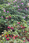 DSC 0861
